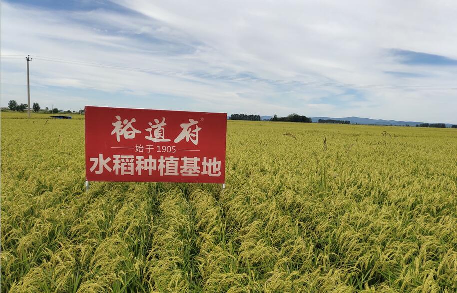 久久久精品国产亚洲成人满18免费网站