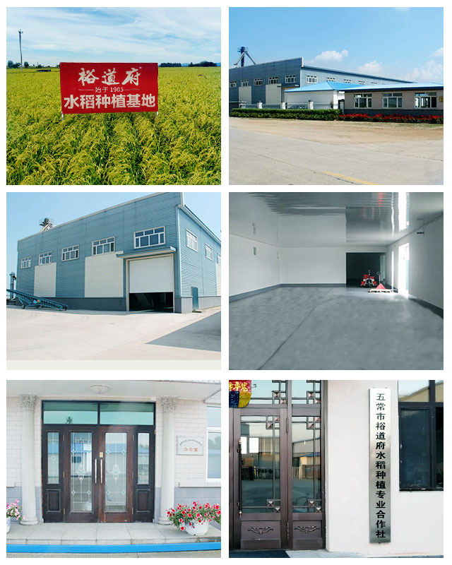 久久久精品国产亚洲成人满18免费网站