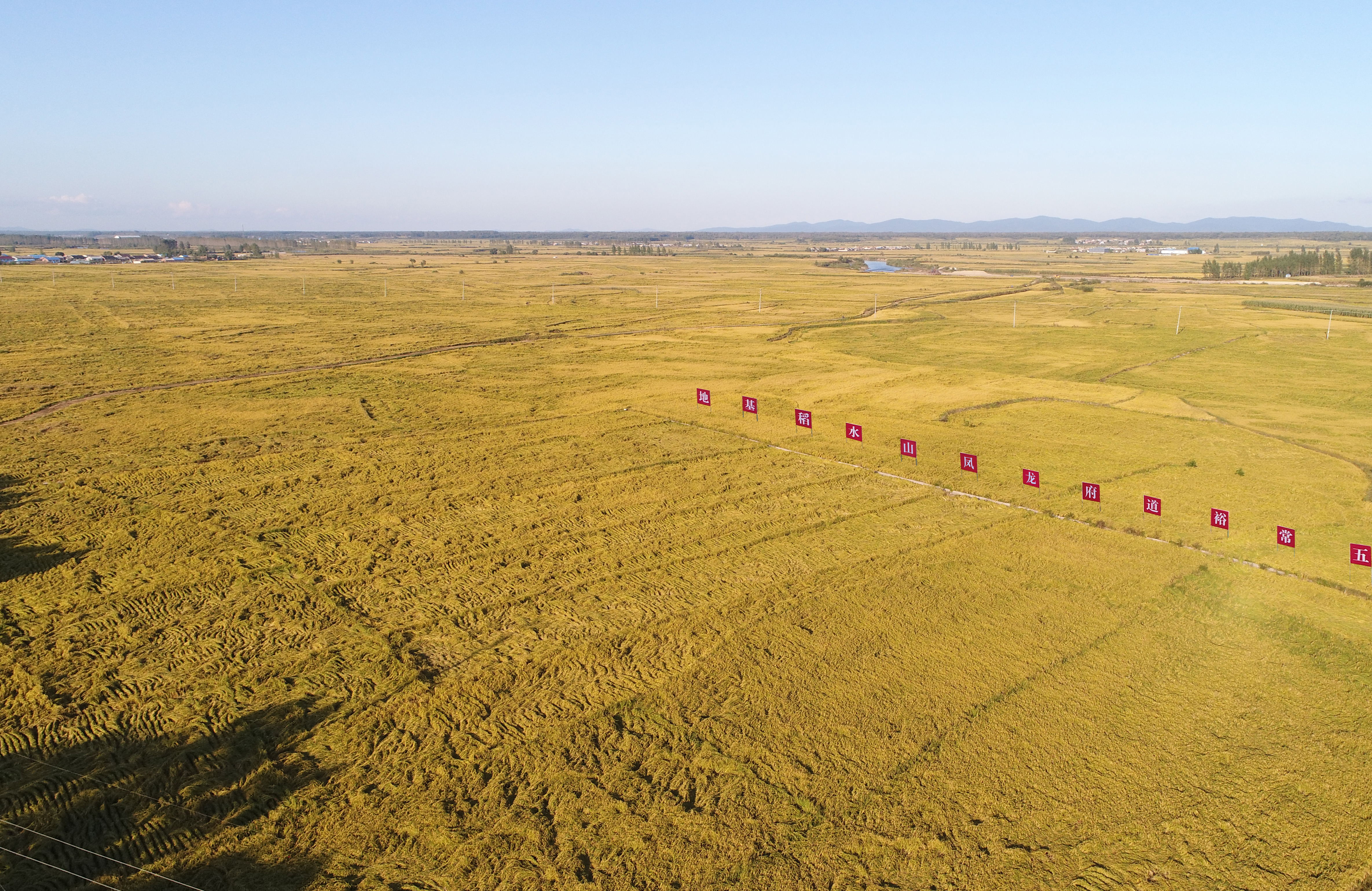 裕道府五常大米怎么样