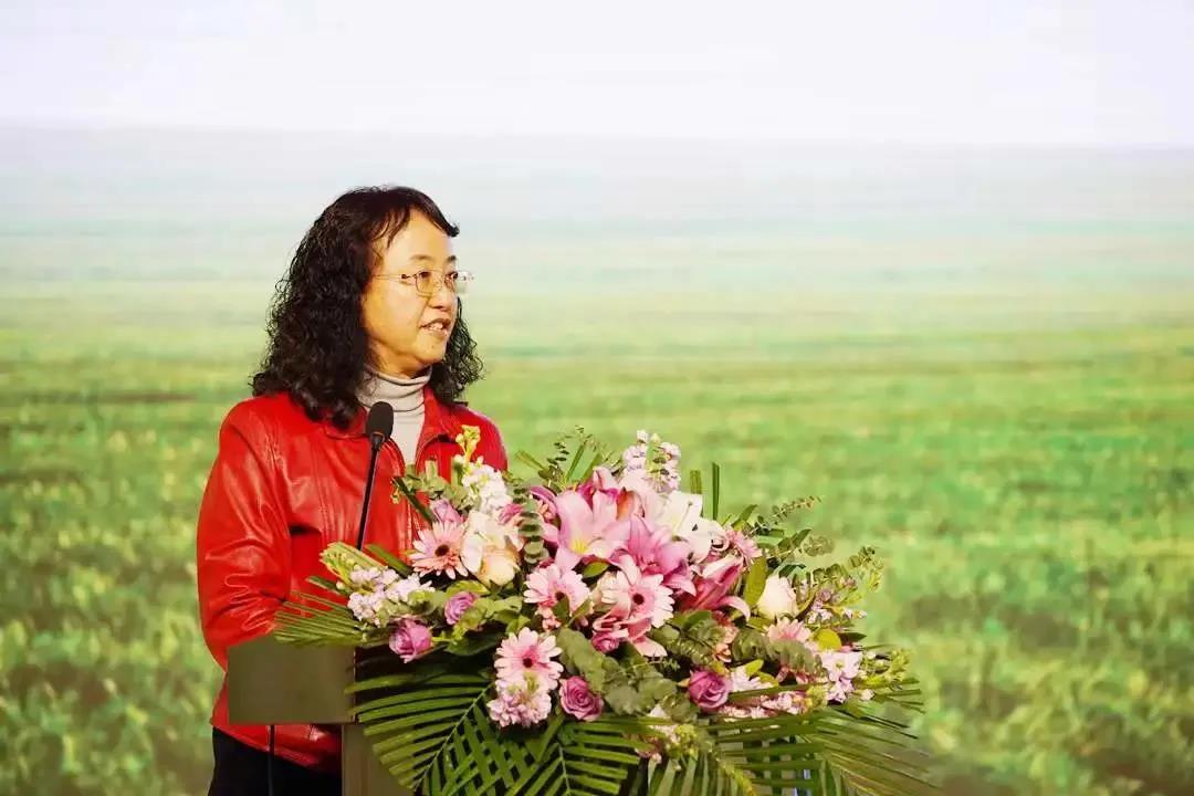 久久久精品国产亚洲成人满18免费网站